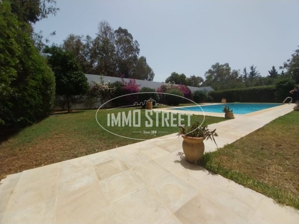 Street-immo